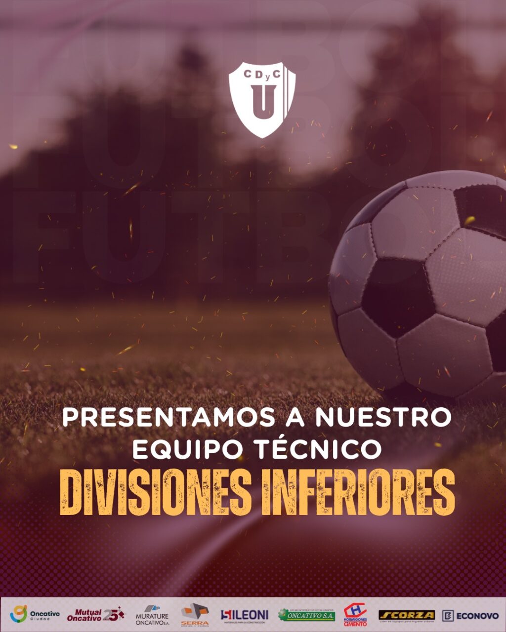 WhatsApp Image 2025-08-01 at 08.09.20